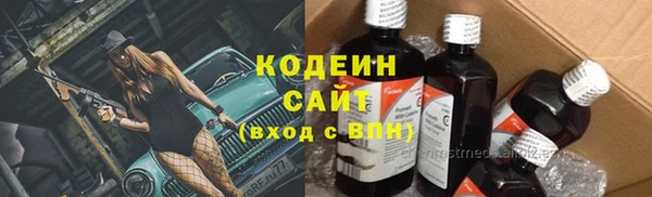 ПСИЛОЦИБИНОВЫЕ ГРИБЫ Белокуриха