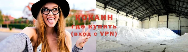 ПСИЛОЦИБИНОВЫЕ ГРИБЫ Белокуриха