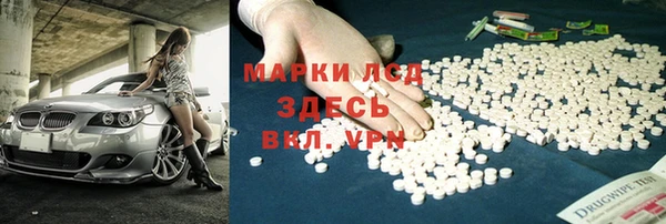 ПСИЛОЦИБИНОВЫЕ ГРИБЫ Белокуриха
