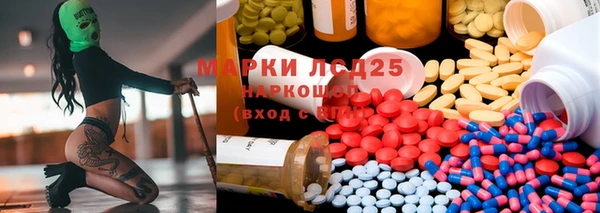 ПСИЛОЦИБИНОВЫЕ ГРИБЫ Белокуриха