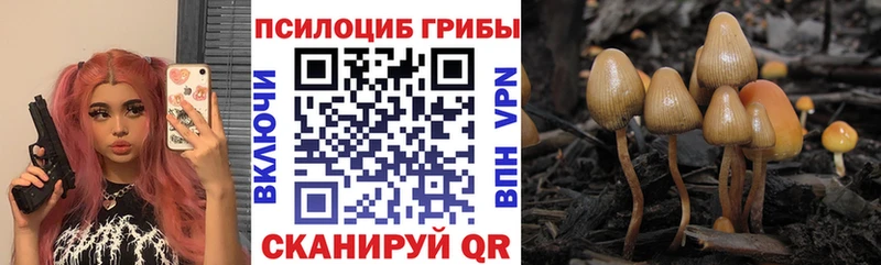 Псилоцибиновые грибы мицелий  Реж 